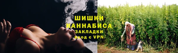 стафф Каменка