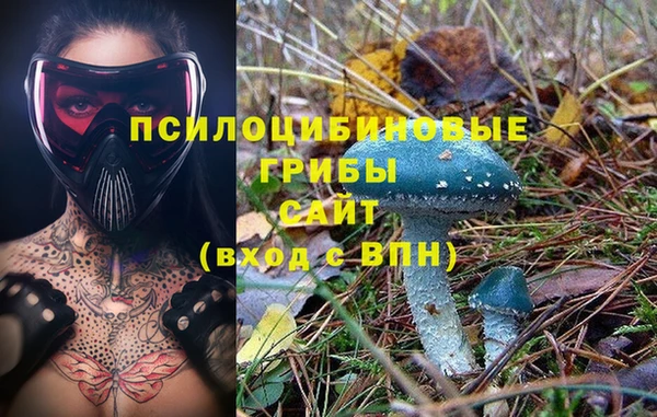 амф Каменногорск