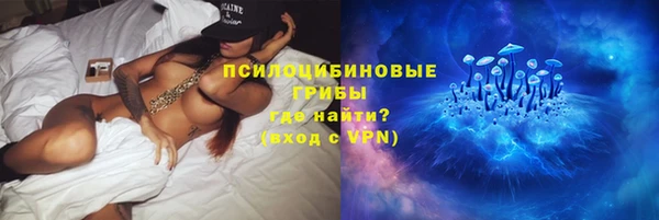 стафф Каменка