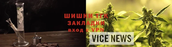 стафф Каменка