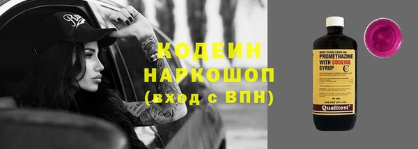 стафф Каменка