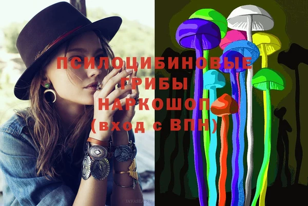 стафф Каменка