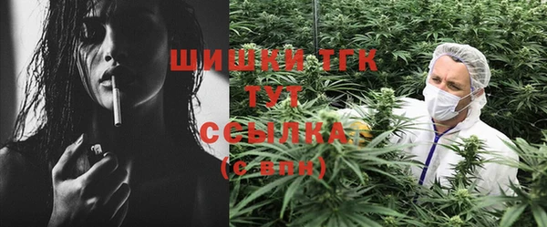 первитин Инта