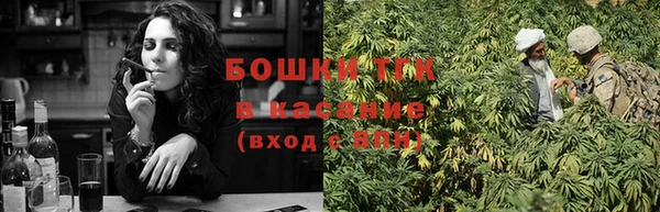 амф Каменногорск