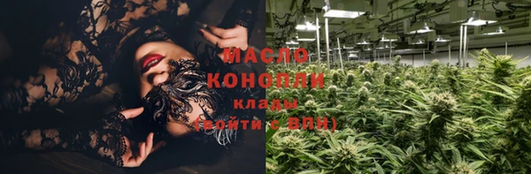 стафф Каменка