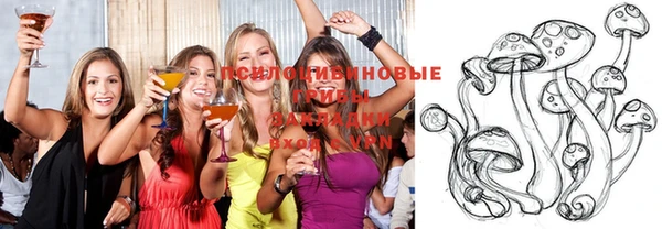 mix Каменск-Шахтинский